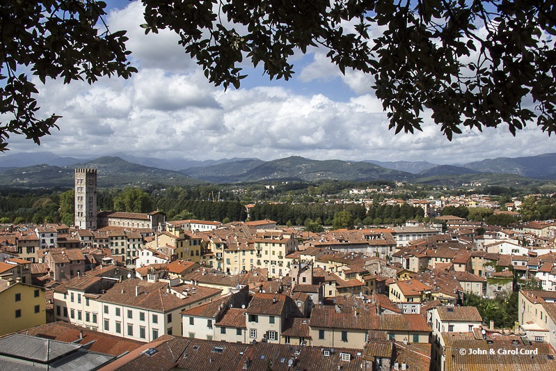 _MG_6479 Lucca rooftops.jpg